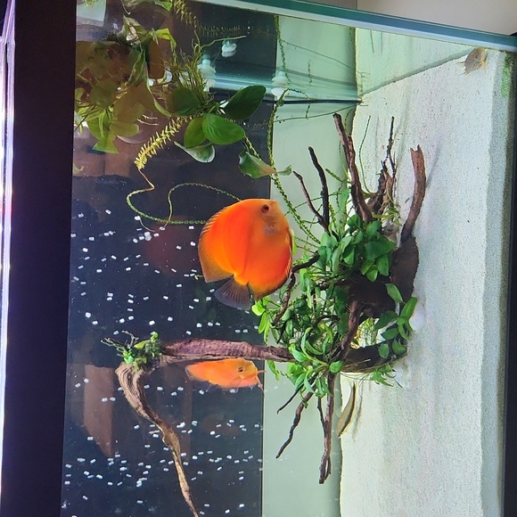 Unlisted - Picture 5 of 5